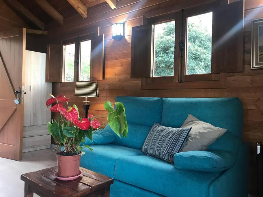 Cozy Mountain Chalet Ля Оротава Экстерьер фото